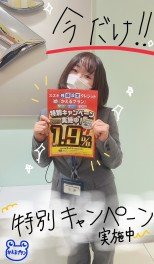 かえるプラン！！今だけ！！年率1.9％！！